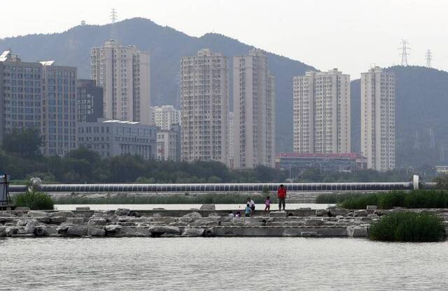 永定河畔终于能消暑 北京“母亲河”补水后绿意盎然