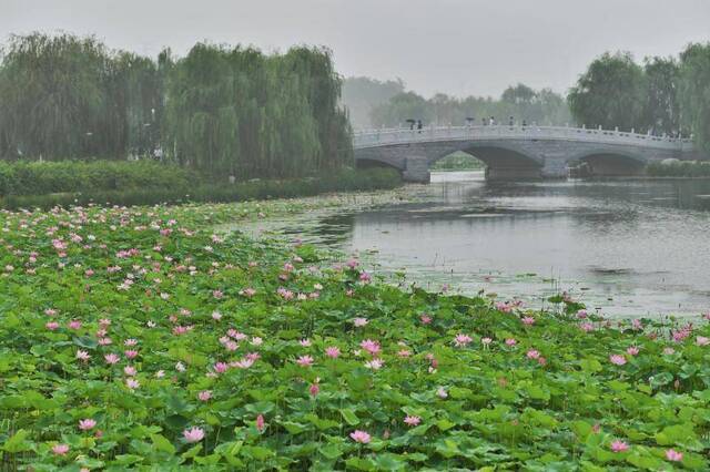 南海子公园二期开园迎客，再现“南囿秋风”美景