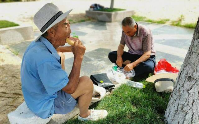 现场丨威海清理海边“草地”浒苔