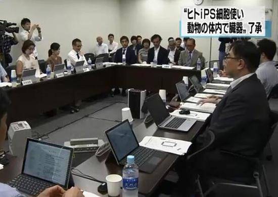 日本文部科学省专家委员会首次批准人兽混合胚胎研究，图源：日媒