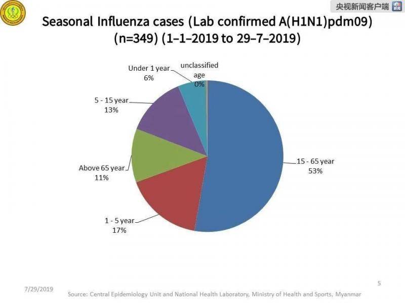 缅甸H1N1死亡病例达81例