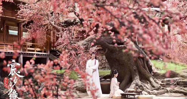 《宸汐缘》剧中的桃林背景