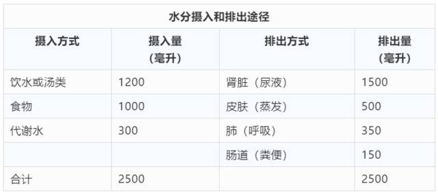 身体一天流失2500毫升水 夏天应该怎样科学地喝水