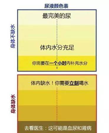 身体一天流失2500毫升水 夏天应该怎样科学地喝水