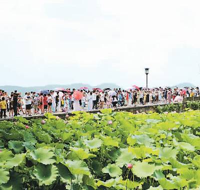 7月14日，杭州迎来暑期旅游高峰，西湖景区游人如织，断桥成“人桥”。（人民视觉）