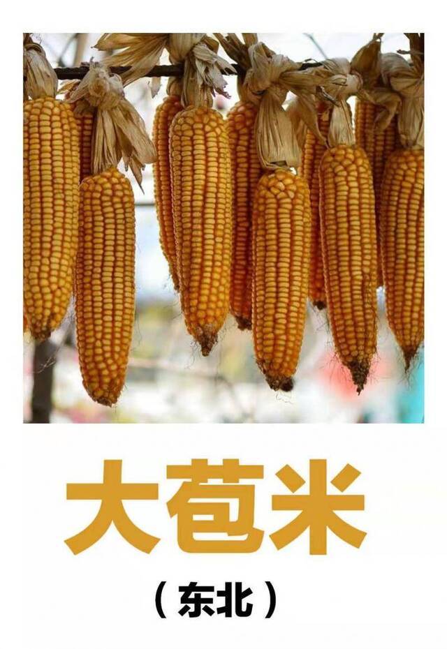 大兄弟、大苞米......东北的