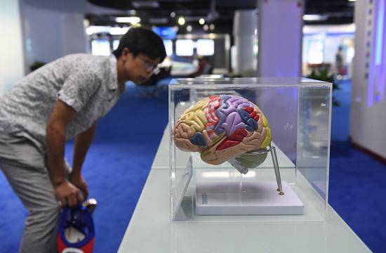 欧洲脑计划“打水漂” AI离人类大脑究竟有多远？