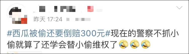 抓无耻瓜贼倒赔300的瓜农：他们都成群结队的偷