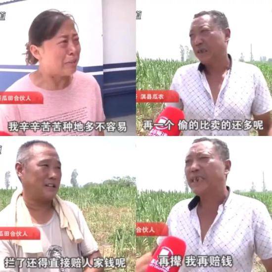 西瓜价值小就让人倒赔300？律师：这是亵渎法律