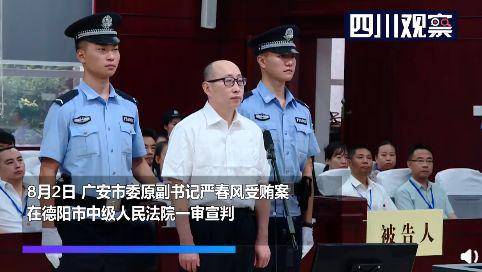 “严书记”被判十年 网友：童所长在瑟瑟发抖