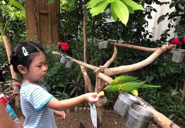 会发光的植物园点亮京西 植物王国上演小动物奇妙夜