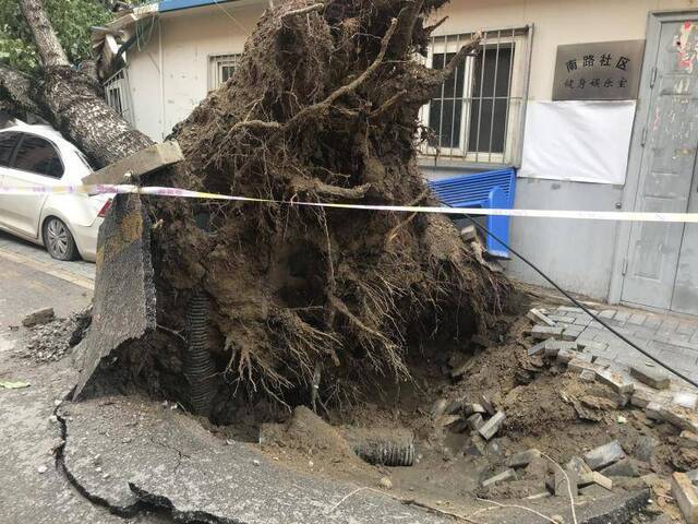 酒仙桥电线杆倒地致4栋居民楼停电，预计傍晚恢复