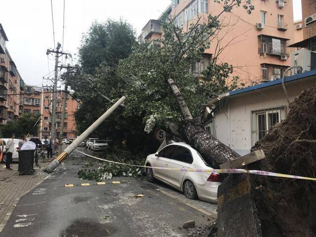 酒仙桥电线杆倒地致4栋居民楼停电，预计傍晚恢复