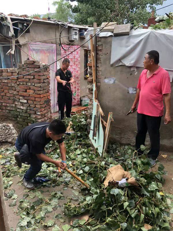 朝阳区平房路三棵大树倒下，十余间房屋受损