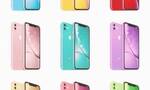 新款iPhoneXR最新渲染图曝光：配色高达9种
