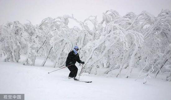 澳大利亚墨尔本以北的维多利亚阿尔卑斯山上滑雪。/视觉中国