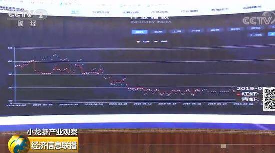 小龙虾价格暴跌35%后“自由了” 市场为啥跳水了?