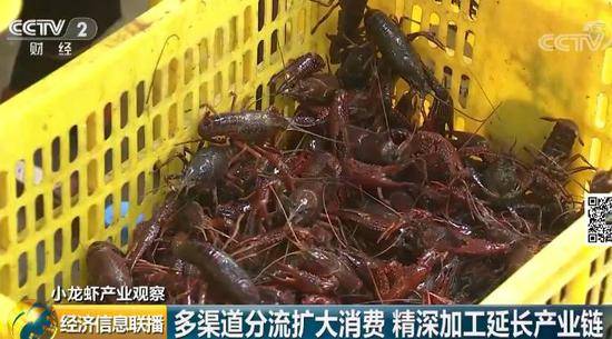 小龙虾价格暴跌35%后“自由了” 市场为啥跳水了?