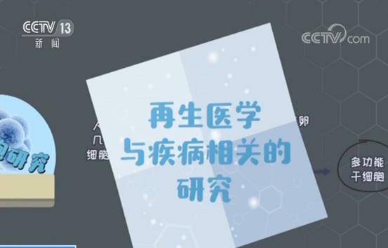 颠覆人们对“细胞家谱”认知！我国科学家绘制小鼠早期胚胎三维时空图