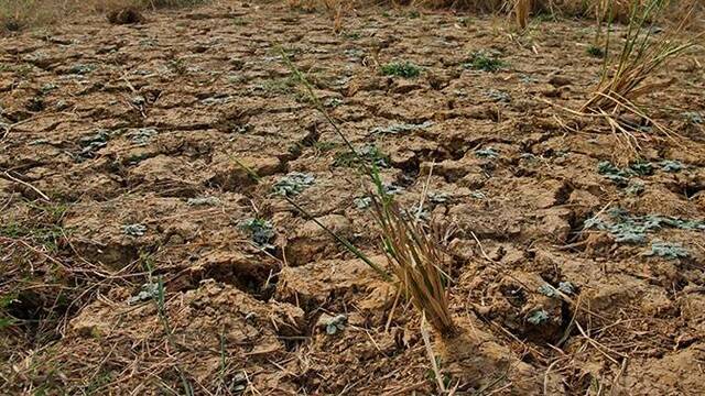 俄森林大火持续肆虐 过火面积超1.5万平方公里