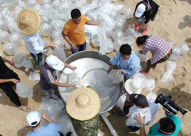 广东省茂名市渔民非法捕捞遇险获救认罪后放生4.5万鱼苗