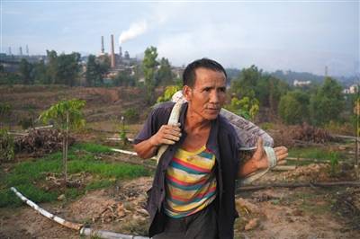 50多岁的李世平在厂区附近维护芒果树，他说，每天排放的刺鼻的烟气，还有飘落的灰尘，对作物不好。