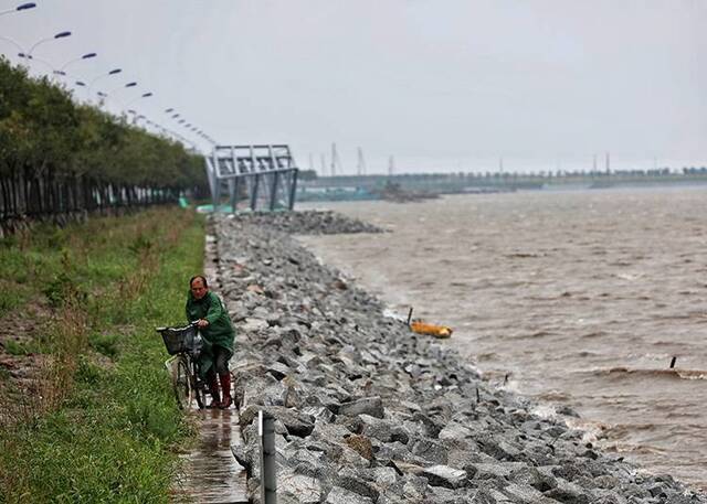 台风“利奇马”临近天津沿海大风升级橙色预警