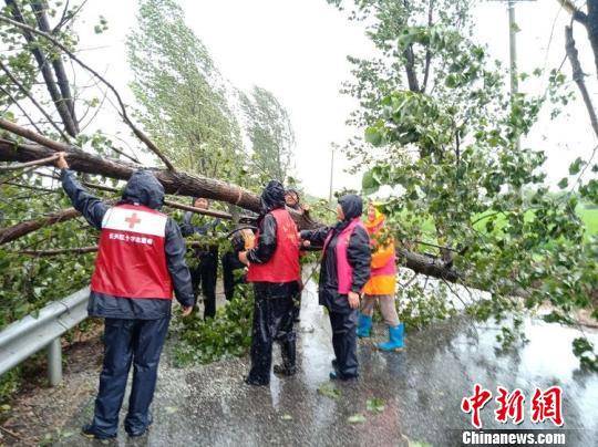 各地红十字会参与救灾。浙江省红十字会供图