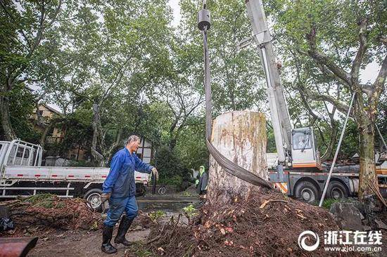 水位下降浙江临海撑住 预计利奇马11日晚到山东