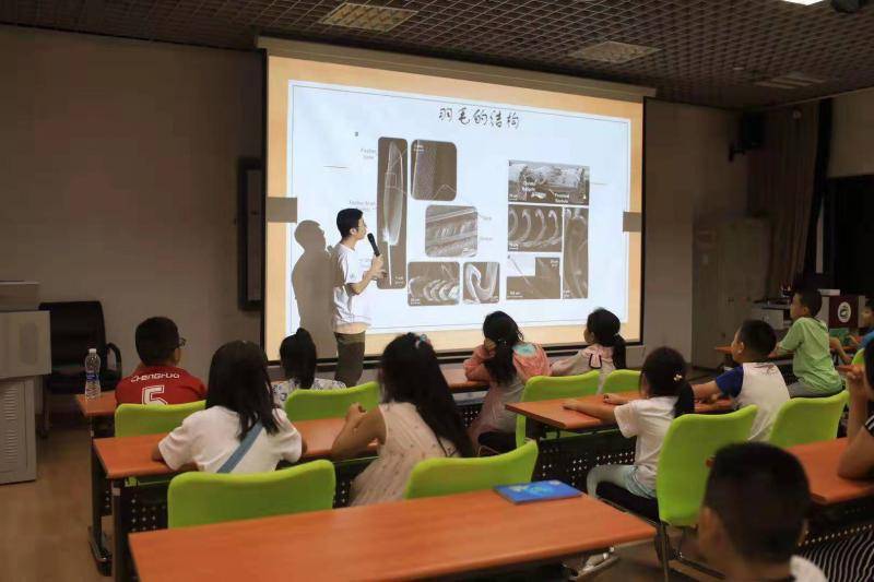 夏夜约一场恐龙趴 北京自然博物馆“奇妙夜”来了！