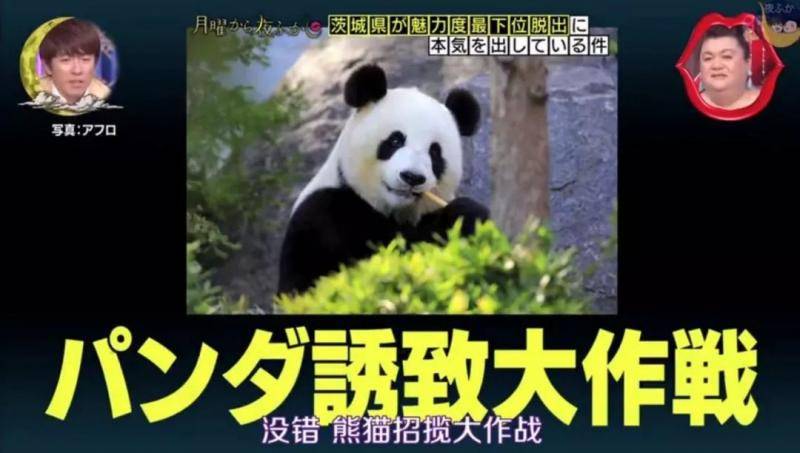 日本综艺爱“搞事情” 宣传变吐槽