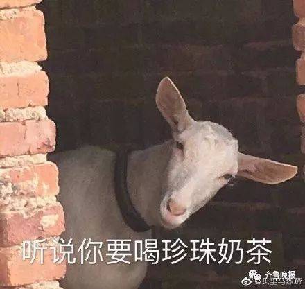 魔幻大赏之鼻孔塞珍珠自拍 媒体：不可以也没必要