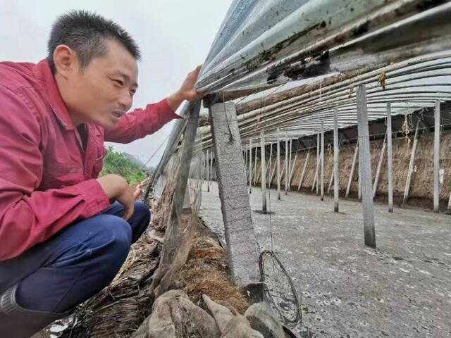 三天三夜 寿光菜农抽水救灾