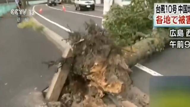 台风“罗莎”登陆日本广岛约58万人接到避难劝告