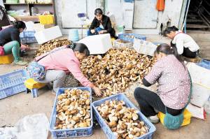 昆明全力筑牢食品药品安全防线