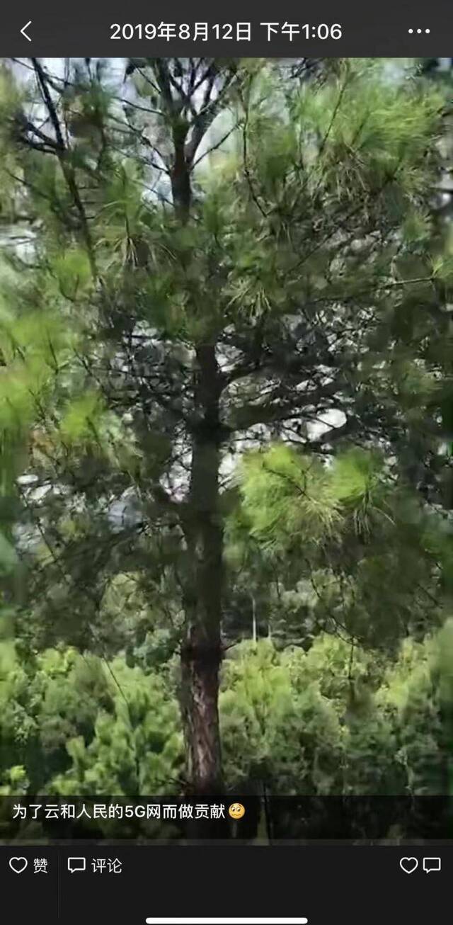 帮工人摘马蜂窝中暑心脏骤停，浙江丽水一消防员因公牺牲