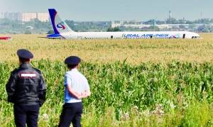 俄客机撞鸟群迫降玉米地