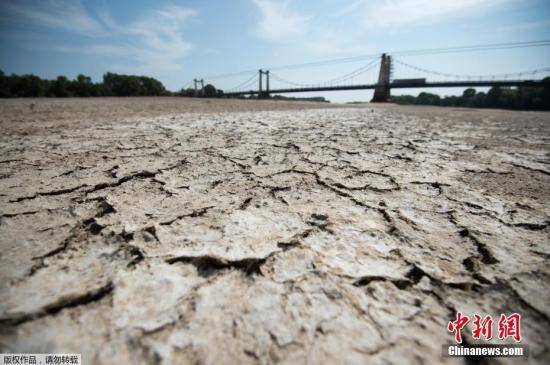 法国今夏出现大规模干旱 逾80多个省受到影响