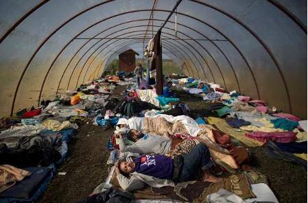 2015年9月13日，来自叙利亚的难民躺在匈牙利的一个蔬菜大棚里睡觉。