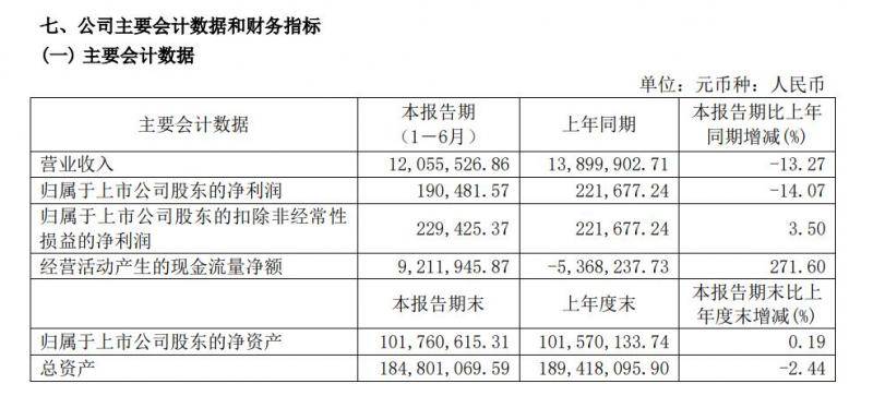 ST宏盛2019年半年度报告截图