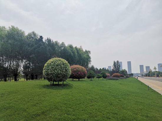 康巴什的城市绿化景观。新华社记者魏婧宇摄