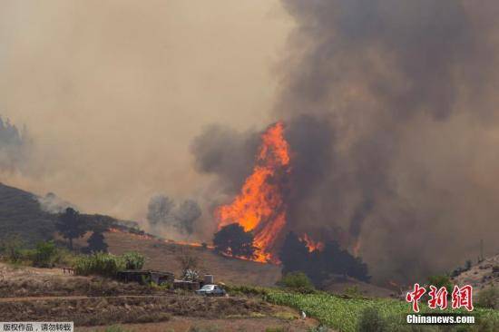 西班牙加纳利群岛再遭山火侵袭已撤离4000人