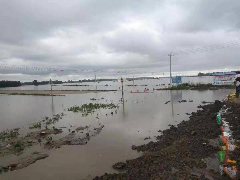 黑龙江宝清县遇洪涝灾害，七星河乡六成农田面临绝收