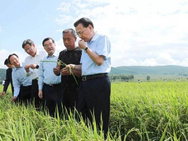 李克强在稻田里对农民说：大米里有大学问，种大米也能种出“高大上”