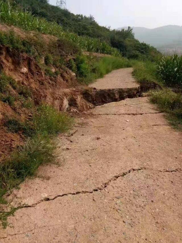 魏庄村北侧农田及田间道路上，出现裂缝、沉降等问题。受访者供图