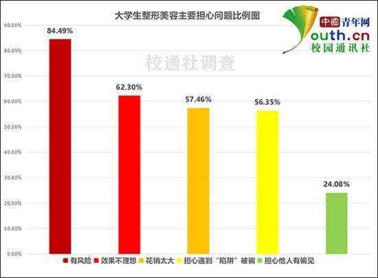 大学生整形美容主要担心问题比例。中国青年网记者李华锡制图