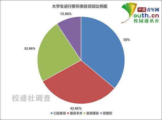 大学生进行整形美容项目比例。中国青年网记者李华锡制图