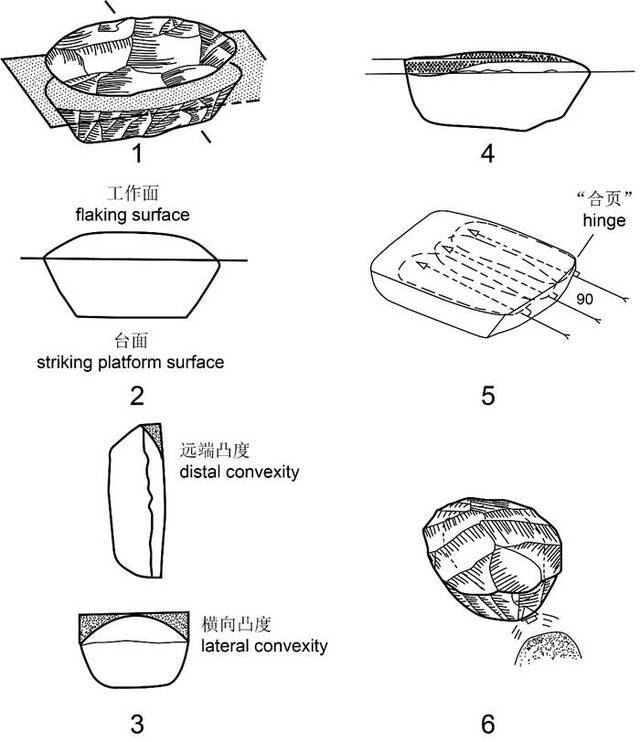 定义勒瓦娄哇技术的六项技术标准（修改自Boёda，1995）