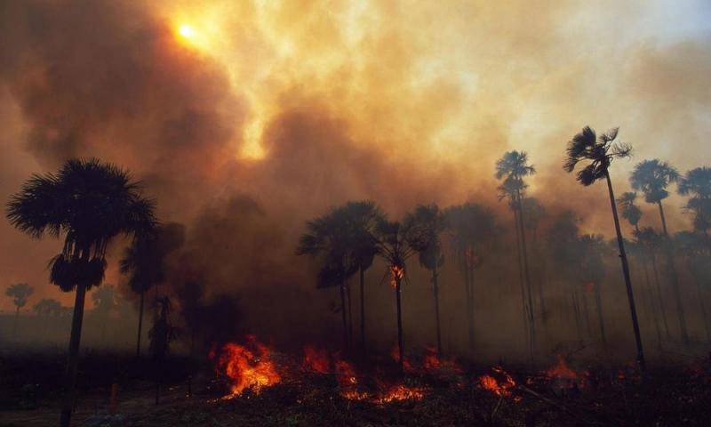 亚马孙大火已持续燃烧16天 “地球之肺”急需拯救