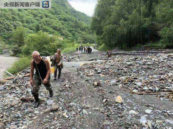 四川卧龙传喜讯 大熊猫“草草”生下双胞胎(图)